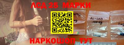 твердый Гусев